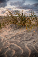 Sea Oats and Sand Dune Textures